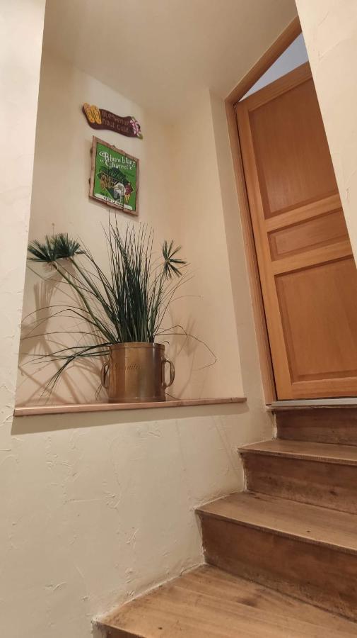 Victoria Appartement Sauzet (Lot)